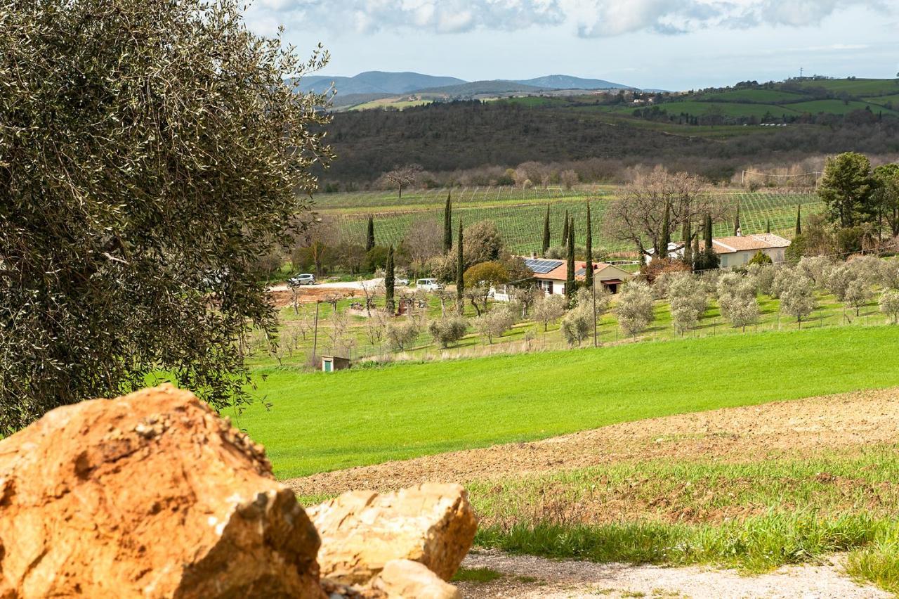 Artemisia Negli Ulivi B&B Magliano in Toscana Buitenkant foto