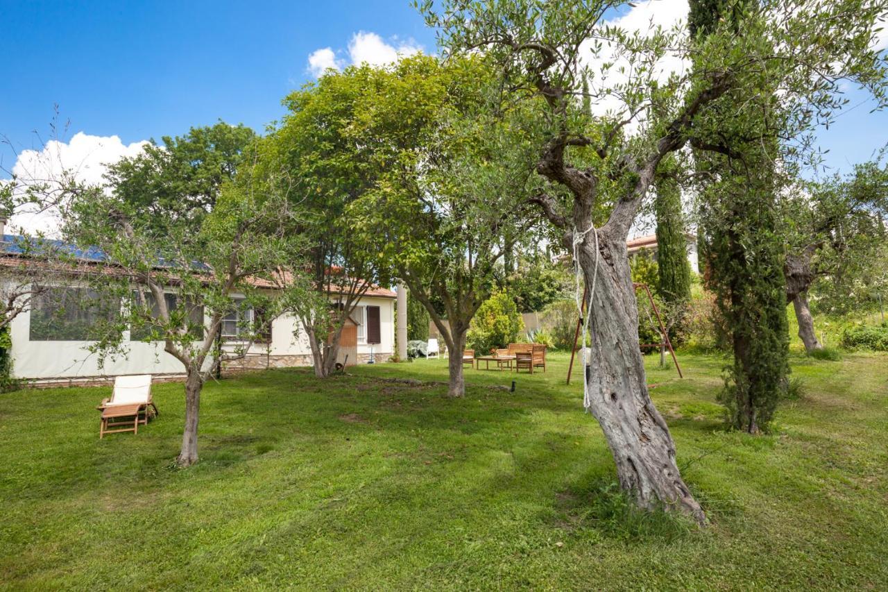 Artemisia Negli Ulivi B&B Magliano in Toscana Buitenkant foto