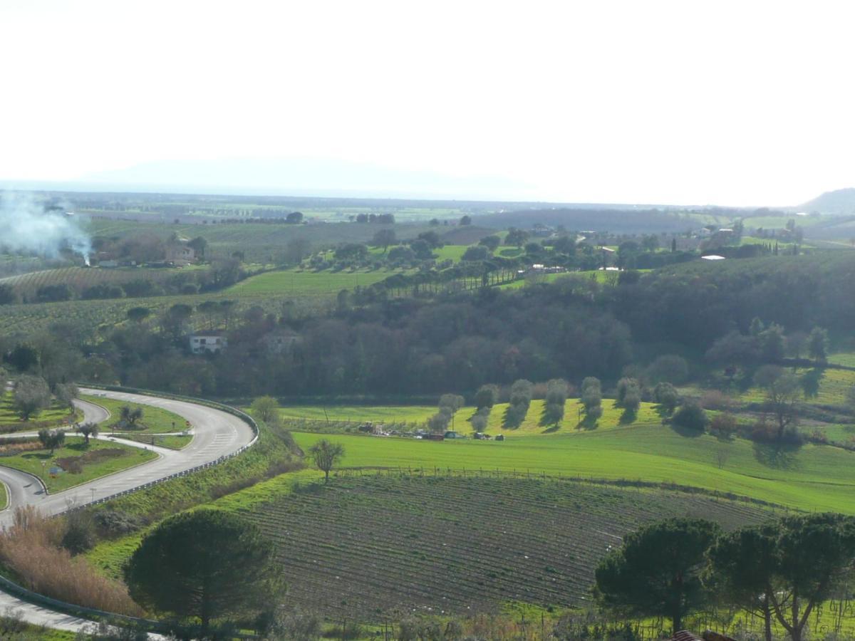 Artemisia Negli Ulivi B&B Magliano in Toscana Buitenkant foto