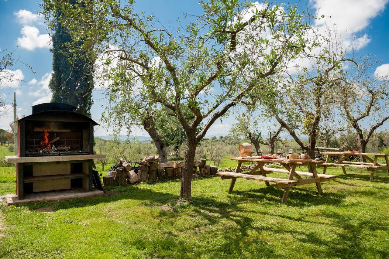 Artemisia Negli Ulivi B&B Magliano in Toscana Buitenkant foto