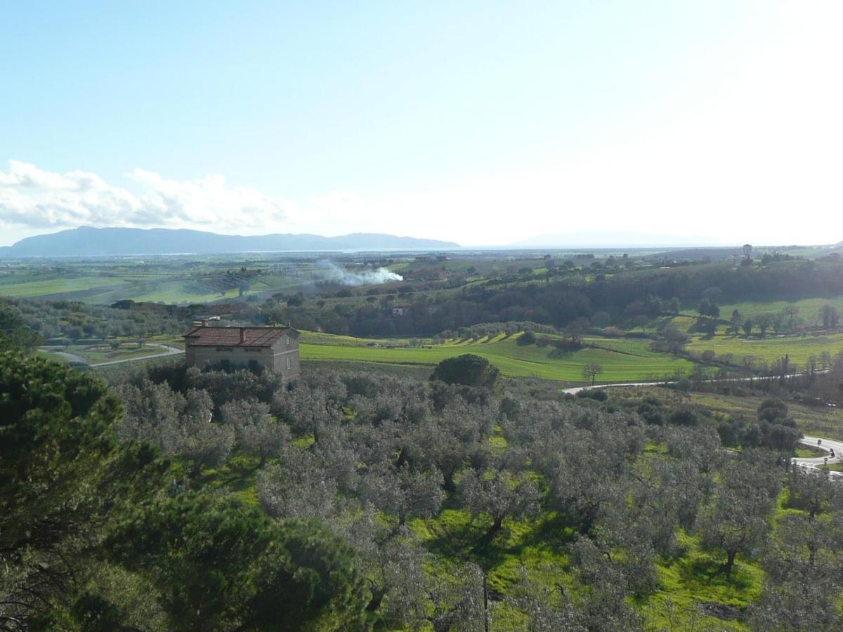 Artemisia Negli Ulivi B&B Magliano in Toscana Buitenkant foto