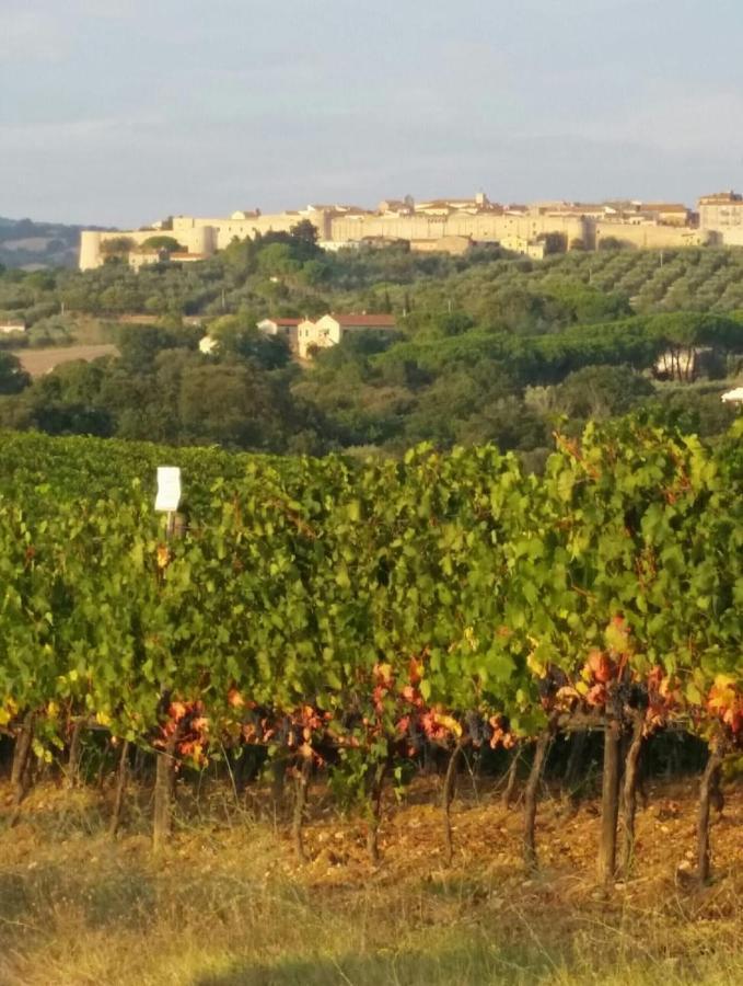 Artemisia Negli Ulivi B&B Magliano in Toscana Buitenkant foto