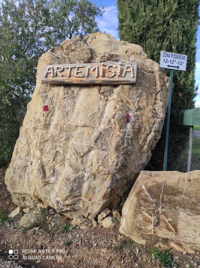 Artemisia Negli Ulivi B&B Magliano in Toscana Buitenkant foto