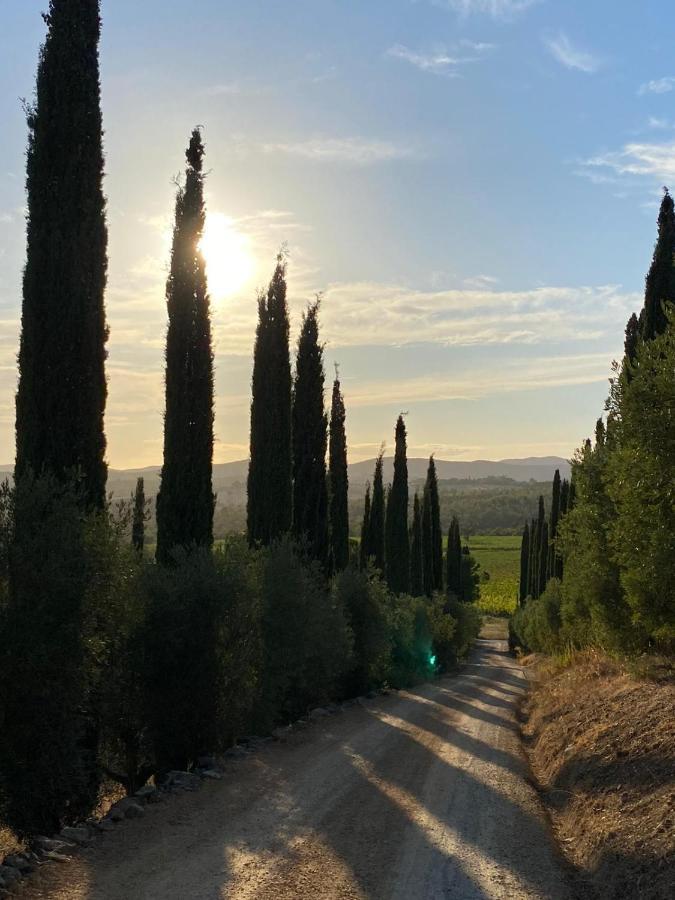 Artemisia Negli Ulivi B&B Magliano in Toscana Buitenkant foto