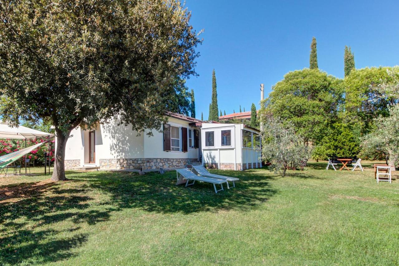 Artemisia Negli Ulivi B&B Magliano in Toscana Buitenkant foto