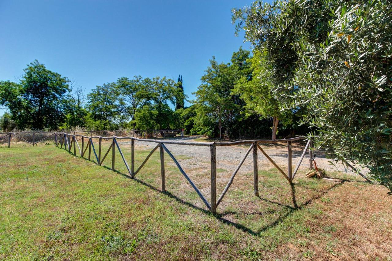 Artemisia Negli Ulivi B&B Magliano in Toscana Buitenkant foto