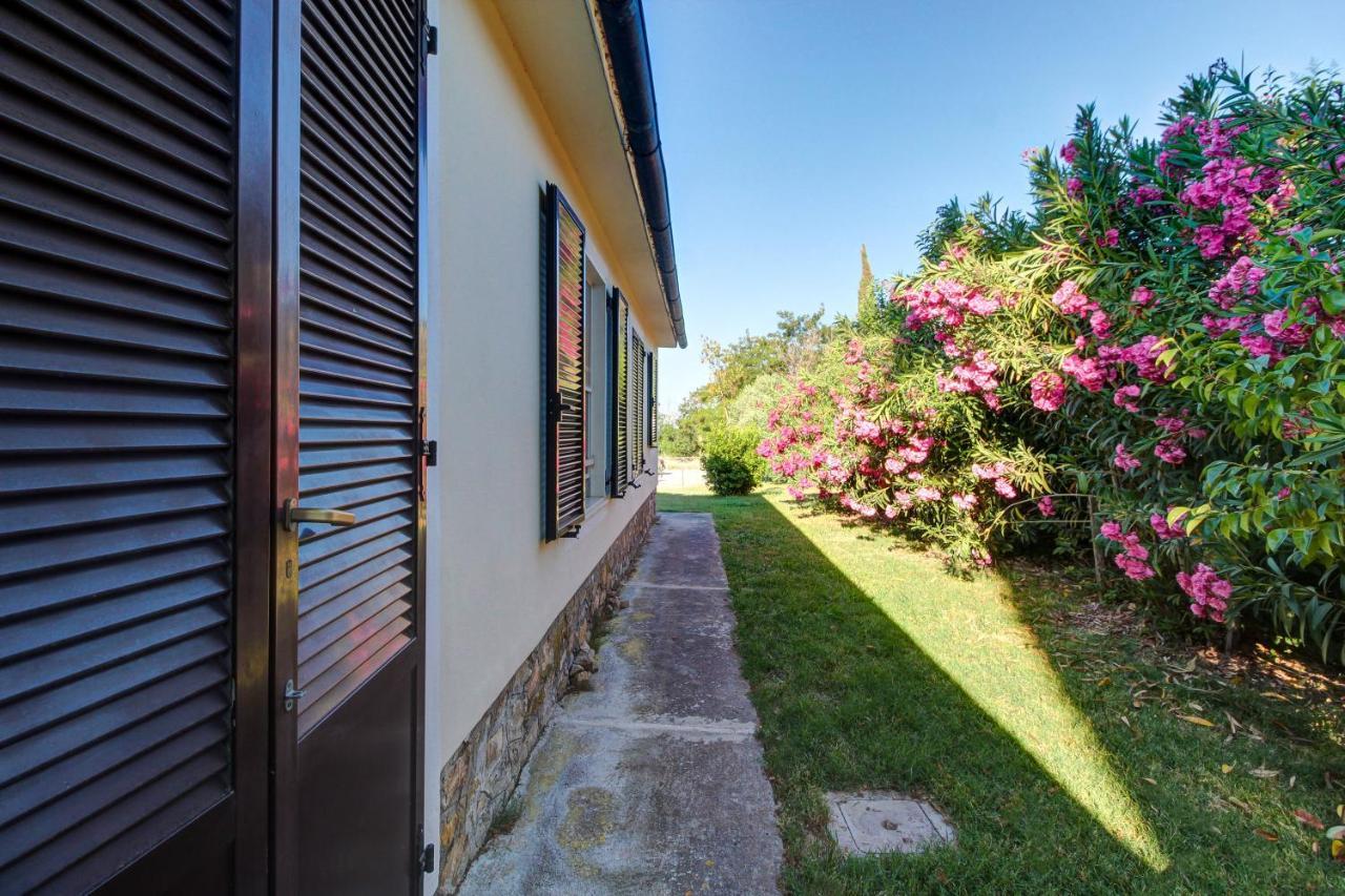 Artemisia Negli Ulivi B&B Magliano in Toscana Buitenkant foto