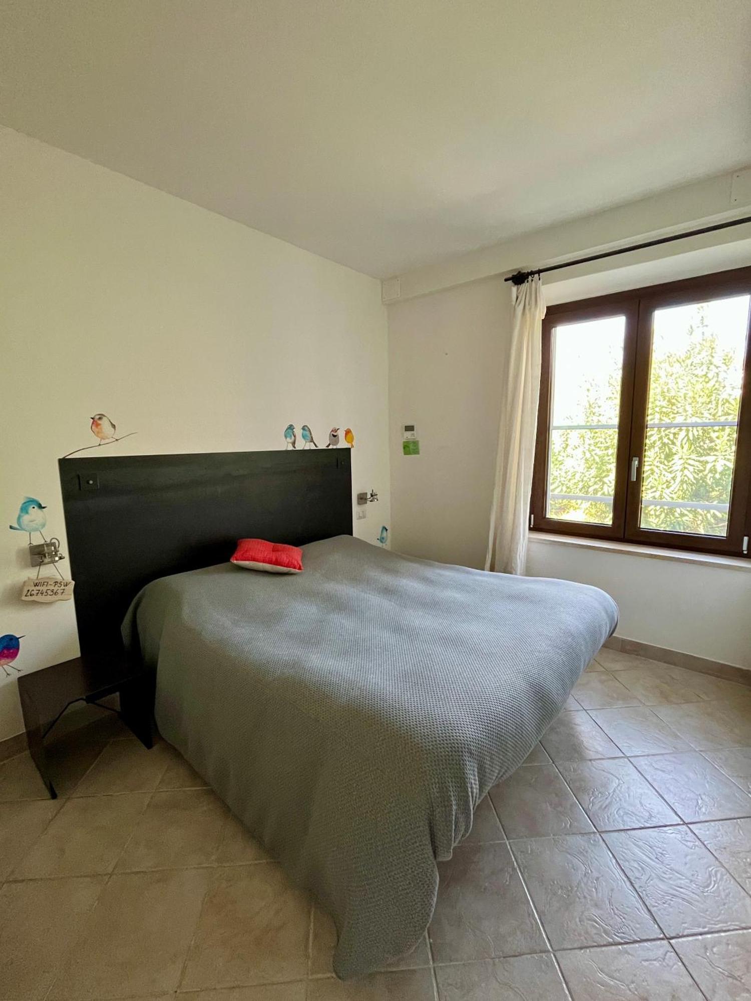 Artemisia Negli Ulivi B&B Magliano in Toscana Buitenkant foto